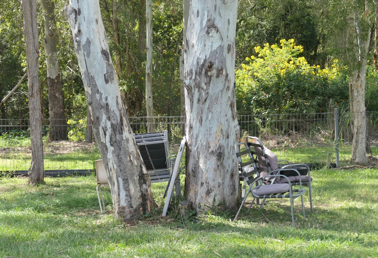 Ipswich parks
